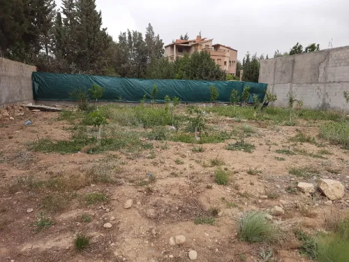 Vente Terrain Batna Fesdis