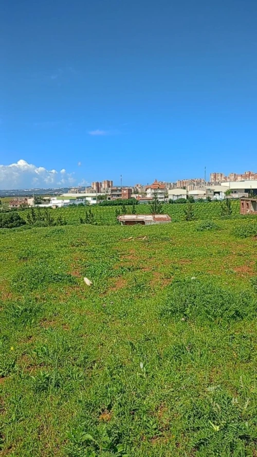 Vente Terrain Alger Douera