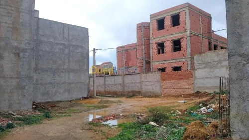 Vente Terrain Mostaganem Mostaganem