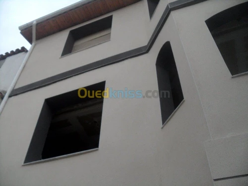 enduit de façade. monocouche.