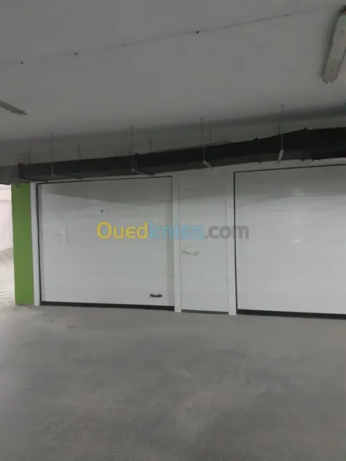 Automatismes D'ouverture Blida