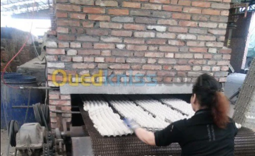 Ligne de production de plateaux d'œuf