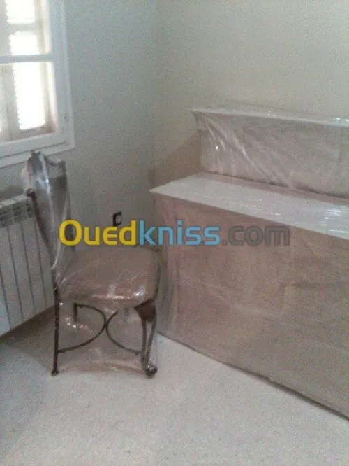 TRANSPORT / MANUTENTIONS /DEMENAGEMENT