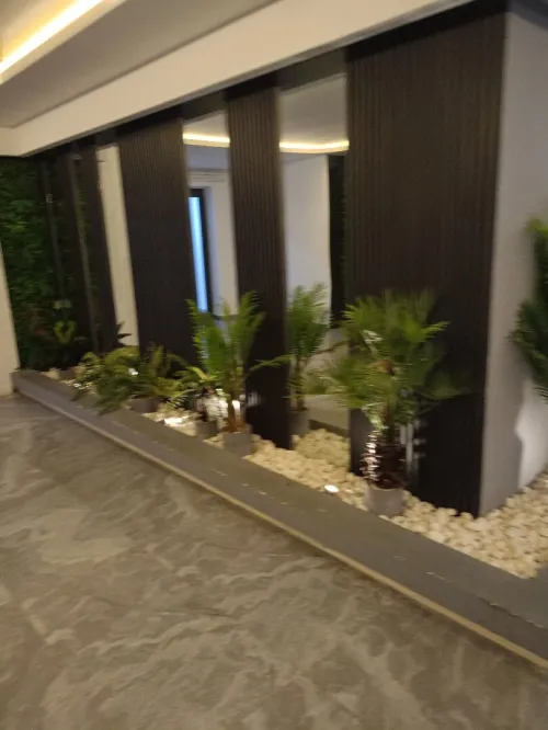 Vente Appartement F4 Alger Cheraga