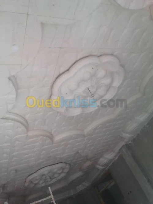 faux plafond & plaque de platre