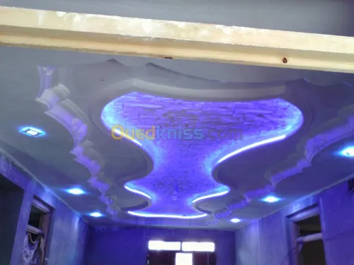 faux plafond & plaque de platre