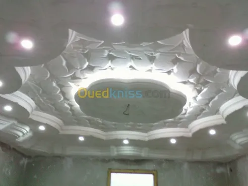 faux plafond & plaque de platre