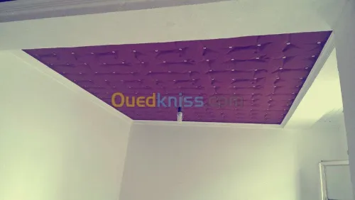faux plafond & plaque de platre