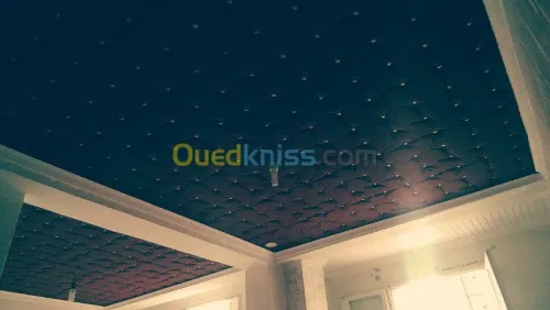 faux plafond & plaque de platre