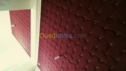 faux plafond & plaque de platre