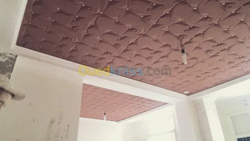 faux plafond & plaque de platre