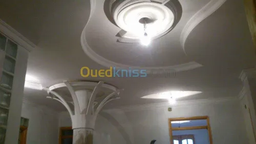 faux plafond & plaque de platre
