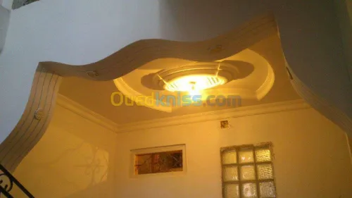 faux plafond & plaque de platre
