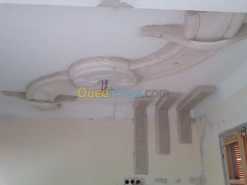 faux plafond & plaque de platre