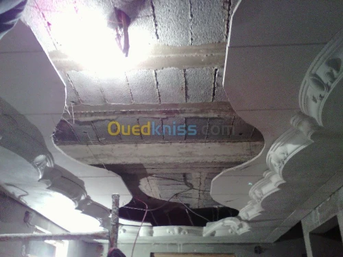 faux plafond & plaque de platre