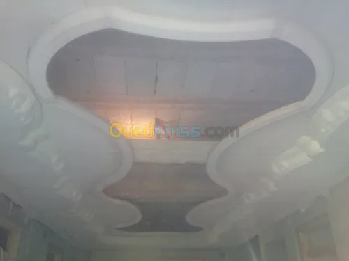 faux plafond & plaque de platre