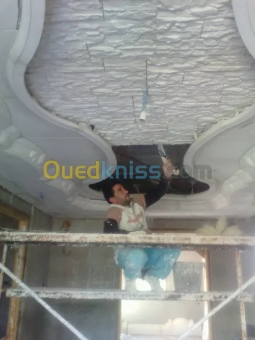faux plafond & plaque de platre