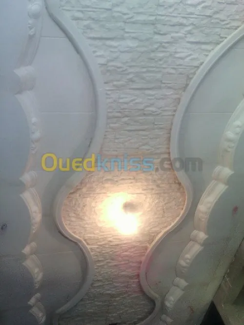 faux plafond & plaque de platre