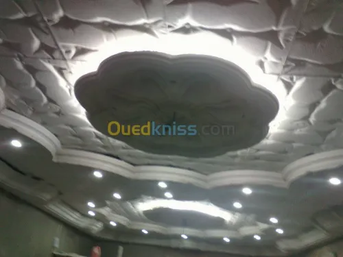 faux plafond & plaque de platre