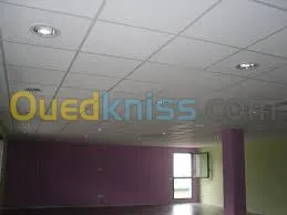 Faux Plafond Tout Séparations