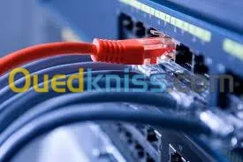 Network (réseau) (routing, Switching)