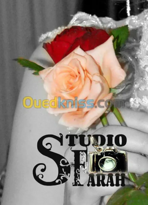 caméra woman  photographe