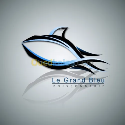 infographiste