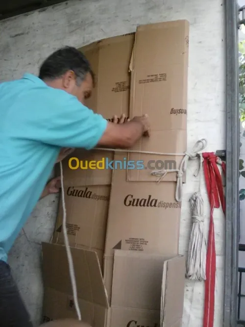 DEMENAGEMENT/TRANSPORT/MANUTENTION