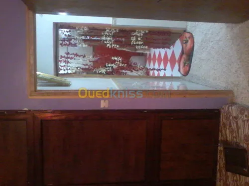 Vente Appartement F3 Tebessa Hammamet
