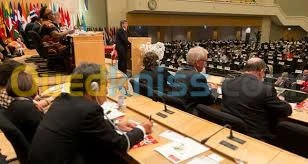 Services d'Interprétation Professionnelle (Français/Anglais/Arabe) خدمات ترجمة فورية واحترافية 