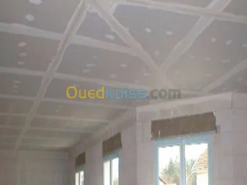 faux plafond & plaque de platre ba13
