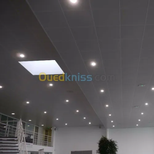 faux plafond & plaque de platre ba13
