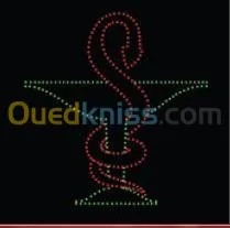 Enseignes Lumineuses à base de LEDS