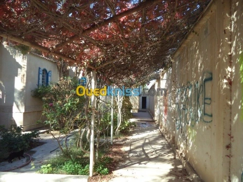 Vente Villa Biskra Tolga
