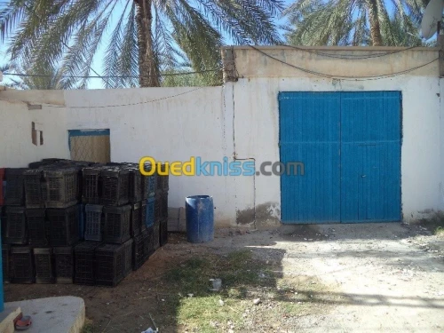 Vente Villa Biskra Tolga