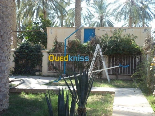 Vente Villa Biskra Tolga