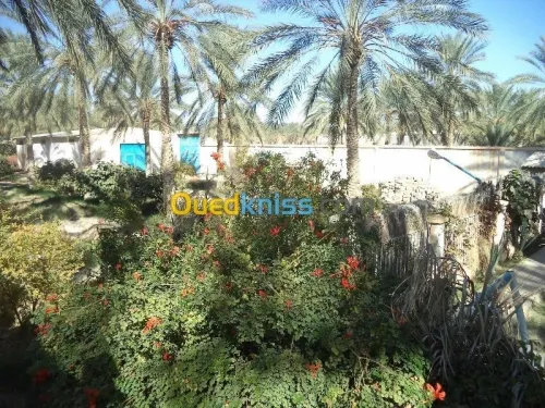 Vente Villa Biskra Tolga