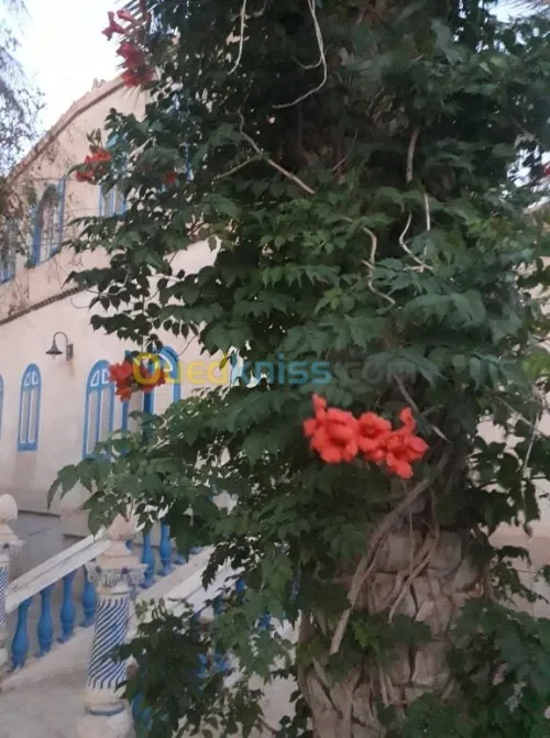 Vente Villa Biskra Tolga