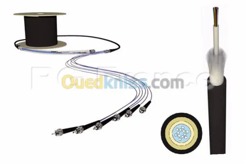 fibre optique standar telephonique