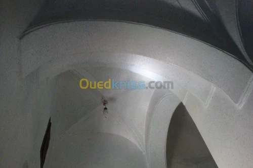 Vente Villa Alger Sidi mhamed