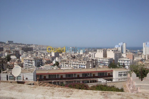 Vente Villa Alger Sidi mhamed