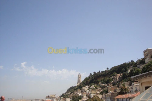 Vente Villa Alger Sidi mhamed