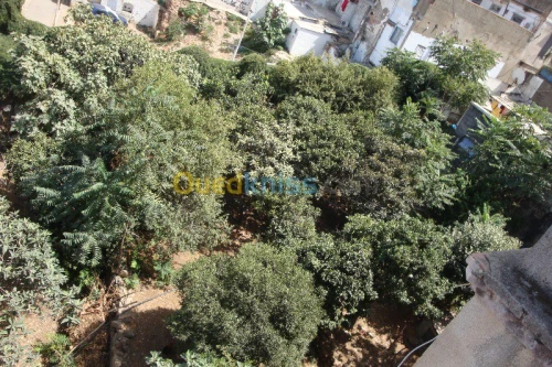 Vente Villa Alger Sidi mhamed