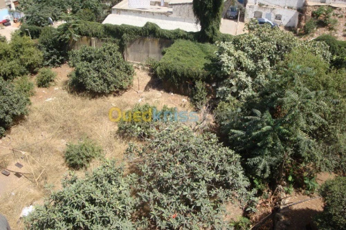 Vente Villa Alger Sidi mhamed