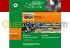 Création site web professionnel