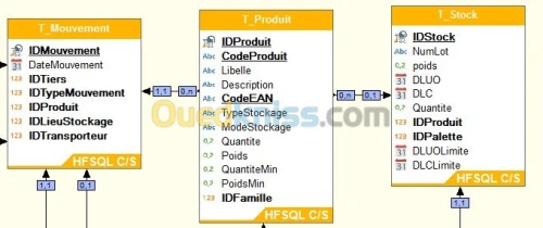 FORMATION WINDEV 17 A DOMICILE