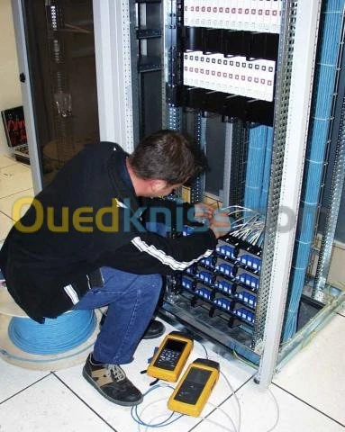 Reseaux Systemes Surveillance Web