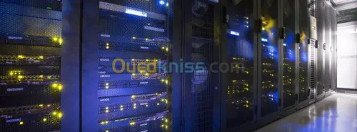 Reseaux Systemes Surveillance Web