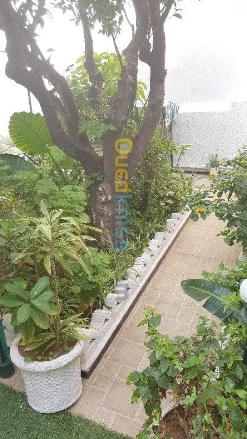 Vente Villa Alger Bologhine