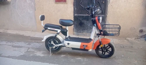 scoozer scoozer 2025